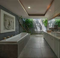 Shower Tub Conversion